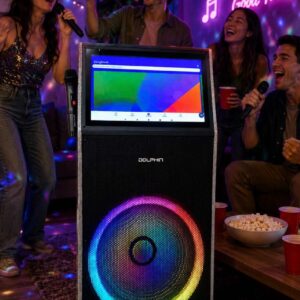 Karaoke Machine With 2 Mics